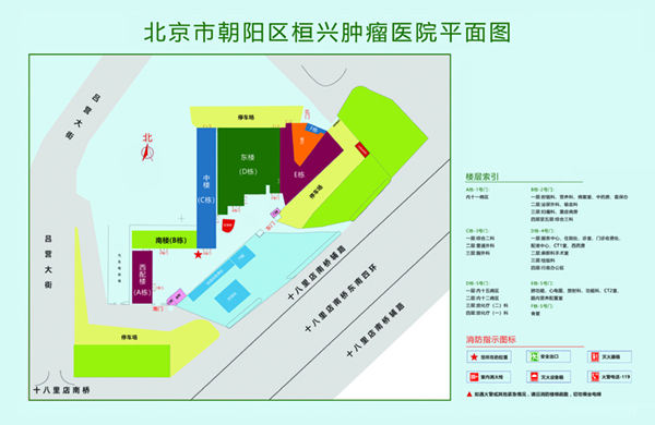 女生吃大鸡巴操逼视频北京市朝阳区桓兴肿瘤医院平面图